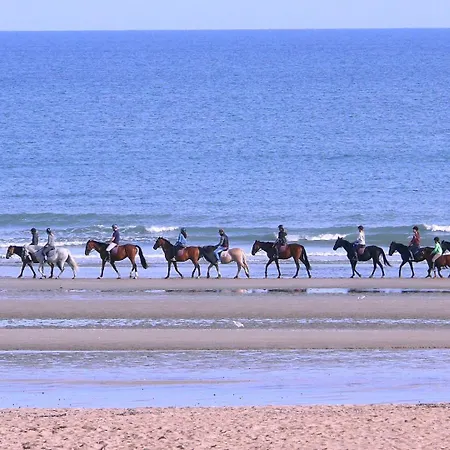 Confort Bourg De Sur Gold