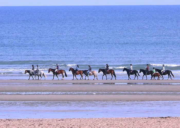 Confort Bourg De Sur Gold